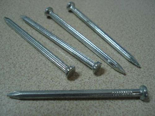 GALVANIZED STEEL NAIL