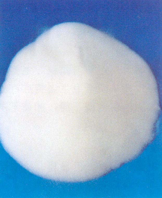 Silica Gel for Column-layer Chromatography(FSG-CLC)
